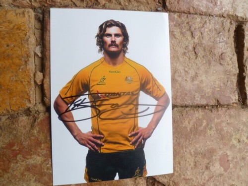 Wallaby rugby star berrick - wallaby,