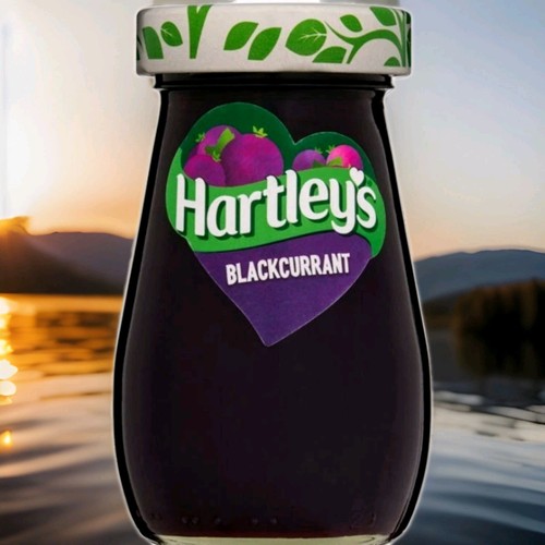 Jar hartley blackcurrant - 2x, hartley's