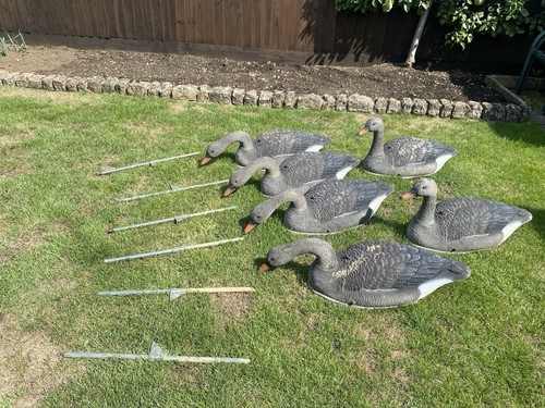 Geese decoys - geese,