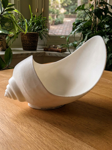 Conch shell catch all bowl - catch,