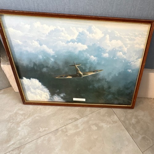 Evening flight framed - evening,