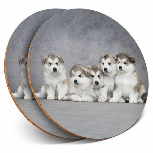 Coasters alaskan - coasters,