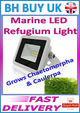 MARINE REFUGIUM LED LIGHT, CHAETO CAULERPA, MACRO ALGAE, SUMP TANK, FISH, REEF