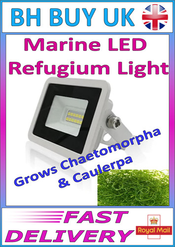 Marine refugium led light - led,