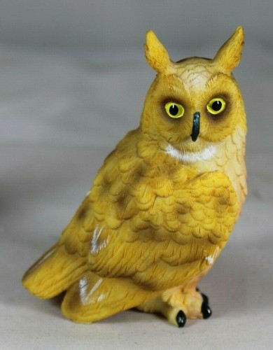Long eared owl models - long,