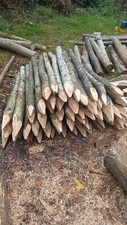 Chestnut Fence Posts And