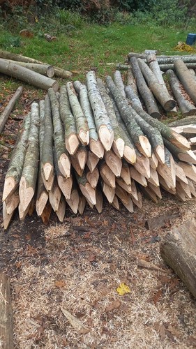 Chestnut fence posts and - posts,