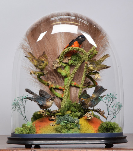 Antique victorian tropical - antique,
