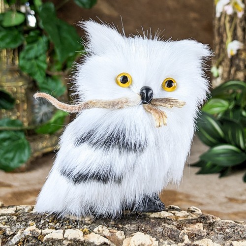 Owl real taxidermy - w, mouse