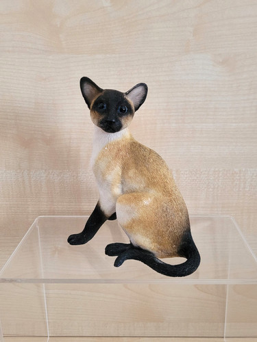 Leonardo collection siamese - collection,