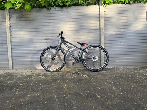 Orbea rigid mountain bike - orbea,