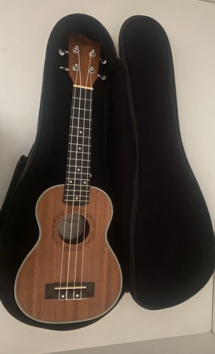 Ukulele with gig - gig, tuner