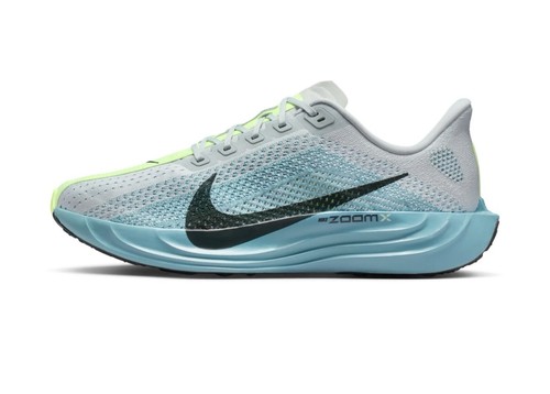 Size 12 nike pegasus - 11,