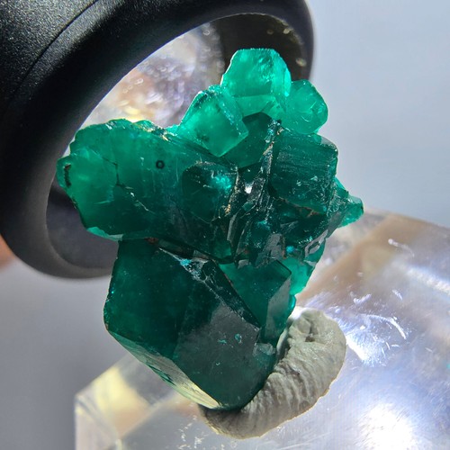 Rare dioptase stage green - rare, stage,