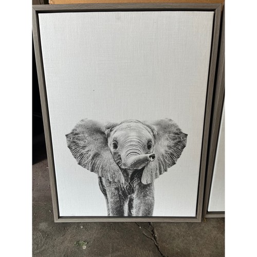 Set safari animal framed - set, of