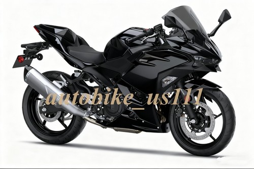 Fairing kit for kawasaki - kit, ninja