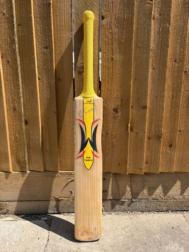 Genuine woodworm premier torch - premier,