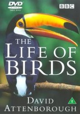 David Attenborough: The Life