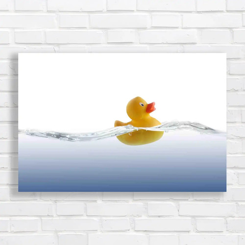 Rubber duck bathroom - rubber, and