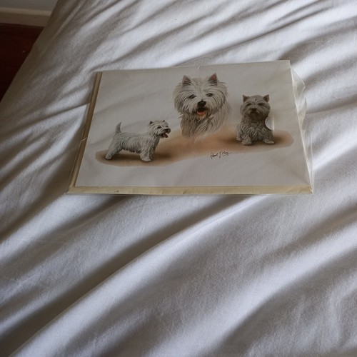 Westie card - westie,