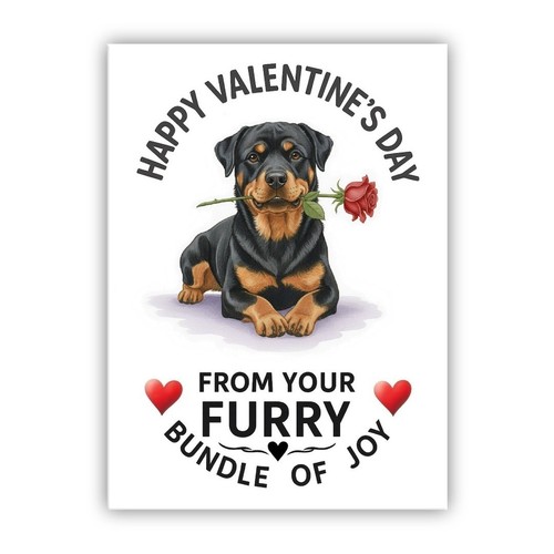 Rottweiler dog valentine day - valentine's,