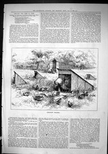 Antique Old Print Sporting