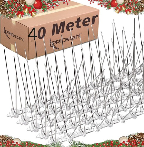 40m 20m pigeon bird - bird, spikes