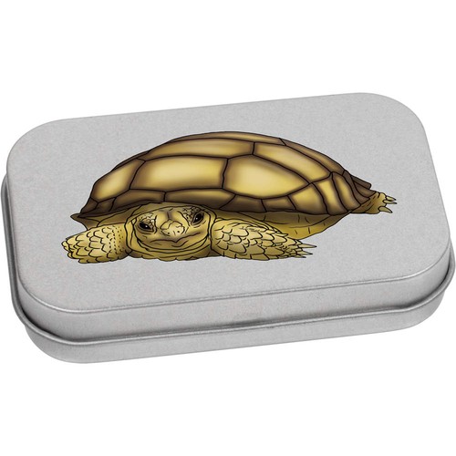Tortoise hatchling metal - hatchling',