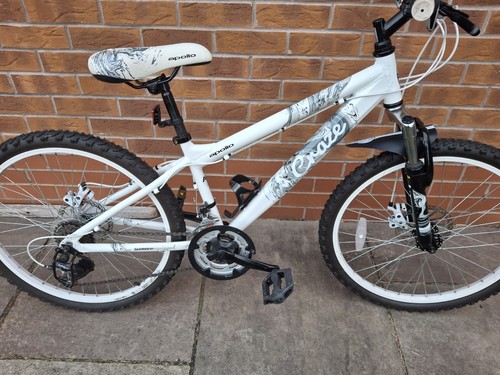 Apollo mountain bike - ,