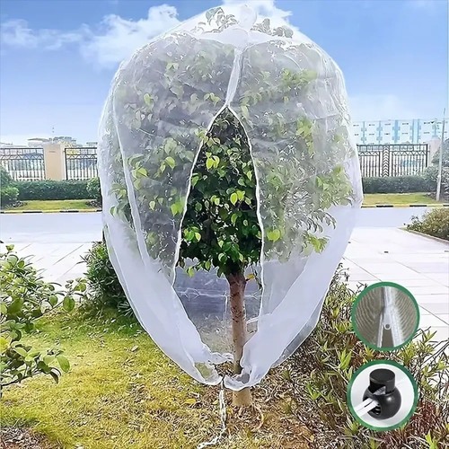 Garden plant tree - fruit, cover