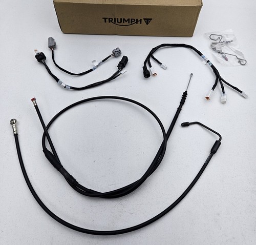New 2017 2026 triumph - new!,