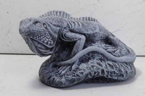 Iguana lizard gecko hand - lizard,