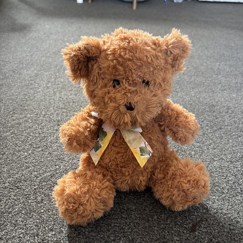 Teddy bear cuddly - bear,