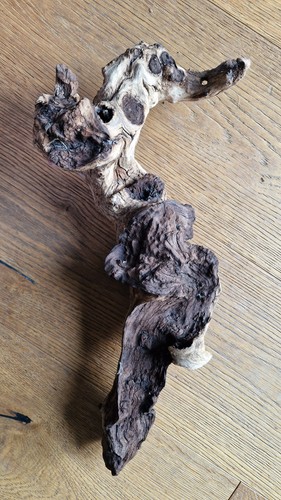 Fish tank driftwood aquarium - tank,