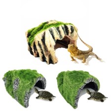 Reptile vivarium corner - reptile,