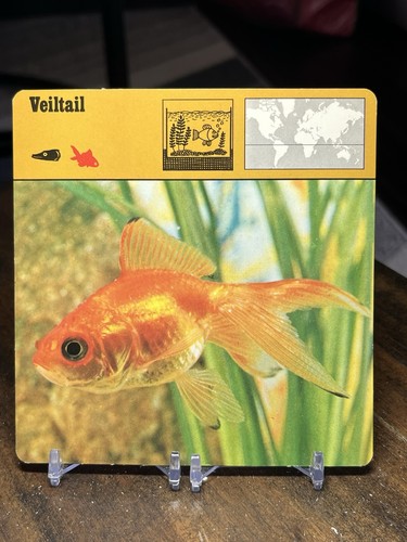 Veiltail 1975 editions - veiltail,,