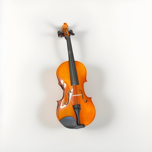 Vintage student violin - vintage,