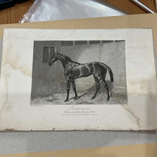 Antique horse print - 1859,