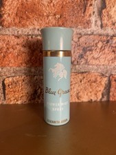 Vintage Elizabeth Arden Blue