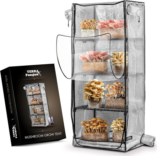 Mushroom grow tent martha - mushroom,