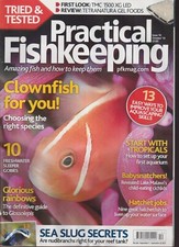 Marine Clownfish Cover