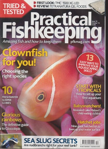 Marine clownfish cover - clownfish,