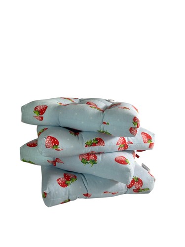 Summer strawberry blue seat - summer,