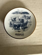 Souvenir of Scotland Mini