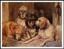 OTTERHOUND DOGS LOVELY VINTAGE