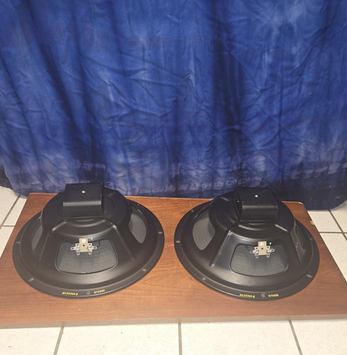 Alnico speaker rib cone - alnico,