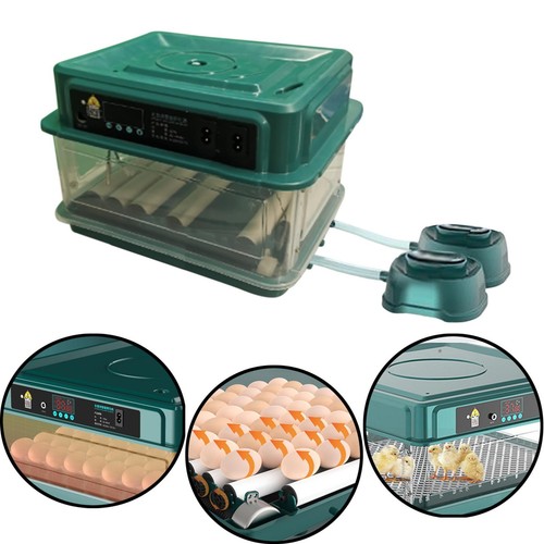 Automatic intelligent egg - automatic,