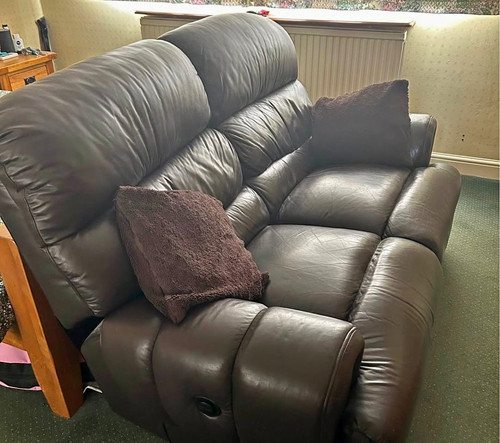Electric brown leather - electric,