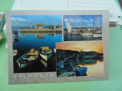 Multi view falmouth - multi-view,, judges