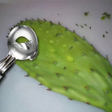 Stainless Steel Cactus Peeler